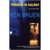 Terreur In Galway door K. Bruen