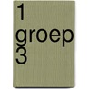 1 Groep 3 by Unknown