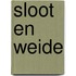 Sloot en weide