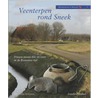 Veenterpen rond Sneek by A. Vreeken