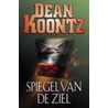 Spiegel van de ziel