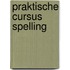 Praktische cursus spelling