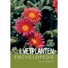Geillustreerde vetplanten encyclopedie by Zdenek Jezek