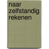 Naar zelfstandig rekenen by Zandvoort