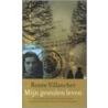Mijn gestolen leven door R. Villancher