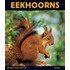 Eekhoorns