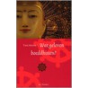 Wat geloven boeddhisten? door Tom Morris