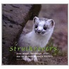 Struikrovers door S. Halewijn
