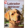 Labrador retriever door A. Louwrier