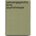 Oplossingsgerichte korte psychotherapie