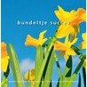 Bundeltje Succes door R. Robben-Wardenaar