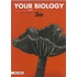 Your Biology / 2a / deel Antwoordenboek