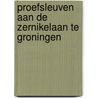Proefsleuven aan de Zernikelaan te Groningen by K. Helfrich