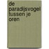 De paradijsvogel tussen je oren