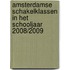 Amsterdamse schakelklassen in het schooljaar 2008/2009