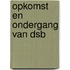 Opkomst en ondergang van DSB