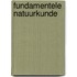 Fundamentele natuurkunde