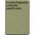 Maatschappelijk culturele kwalificatie