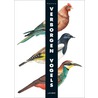 Verborgen vogels by Pittau
