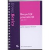 Boom Basics Burgerlijk procesrecht by E.L. Schaafsma-Beversluis