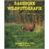Basisboek wildfotografie