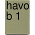Havo B 1