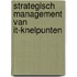 Strategisch Management van IT-knelpunten