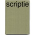 Scriptie