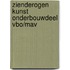 Zienderogen kunst onderbouwdeel vbo/mav