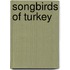 Songbirds of Turkey