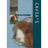 Cavia's door H.L. Schippers