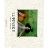 Lupineke by B. Schroeder