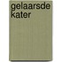 Gelaarsde kater