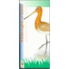 Weidevogels in beeld door J. van Gelderen