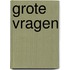Grote vragen