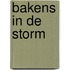 Bakens in de storm