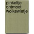 Pinkeltje ontmoet wolkewietje