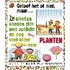 Planten voeden zich met zonlicht en nog veel meer over Planten