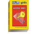 Access 2002