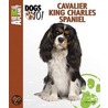 Cavalier king charles spaniel door Richard Bouwman