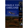 Vogels van Ameland by Unknown