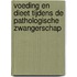 Voeding en dieet tijdens de pathologische zwangerschap
