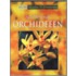 Schitterende orchideeen
