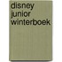 Disney Junior Winterboek