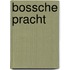 Bossche Pracht