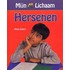 Hersenen