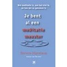 Je bent al een meditatiemeester door Stuart Harrison