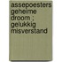 Assepoesters geheime droom ; Gelukkig misverstand