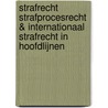 Strafrecht Strafprocesrecht & Internationaal Strafrecht in hoofdlijnen door Chris Van den Wyngaert