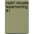 Raak! Visuele Waarneming #1